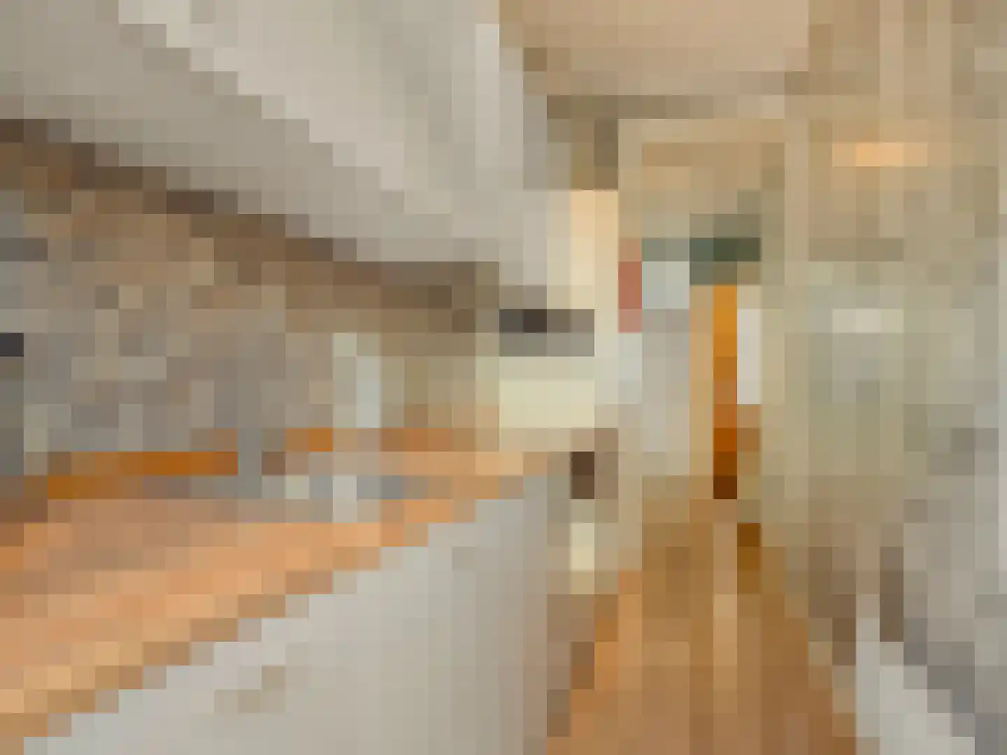 Jan Wapstraat 107 Den Haag thumbnail 22