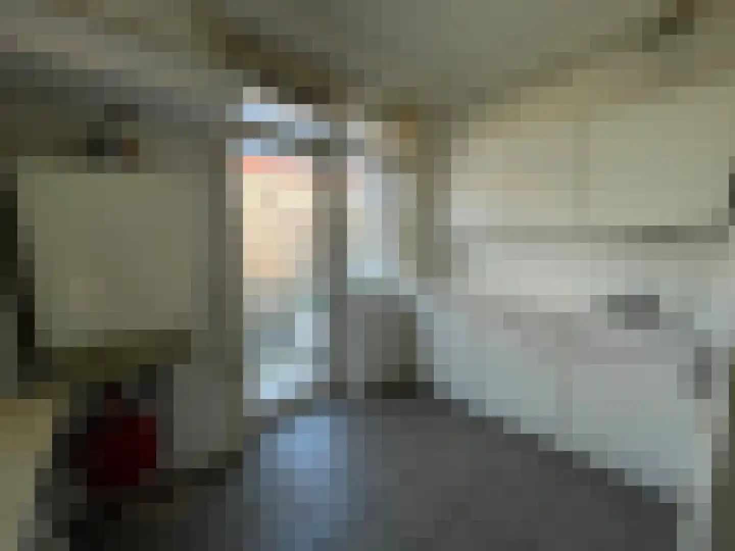 Jan Wapstraat 19 D Den Haag thumbnail 7