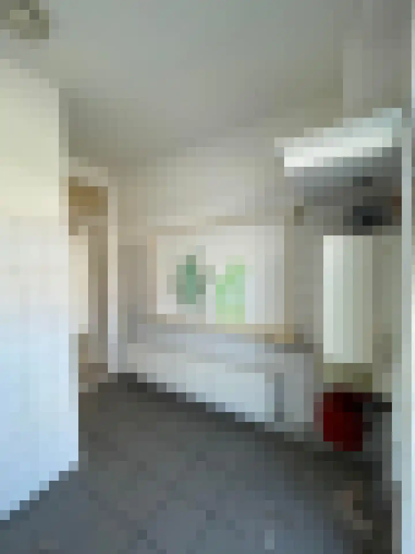 Jan Wapstraat 19 D Den Haag thumbnail 8