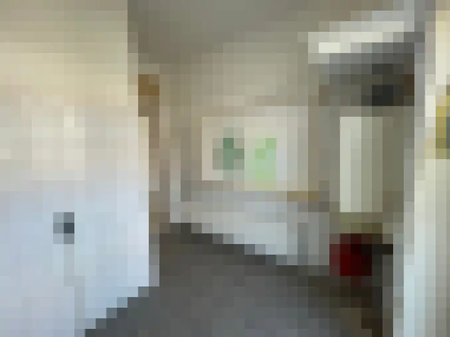 Jan Wapstraat 19 D Den Haag thumbnail 9