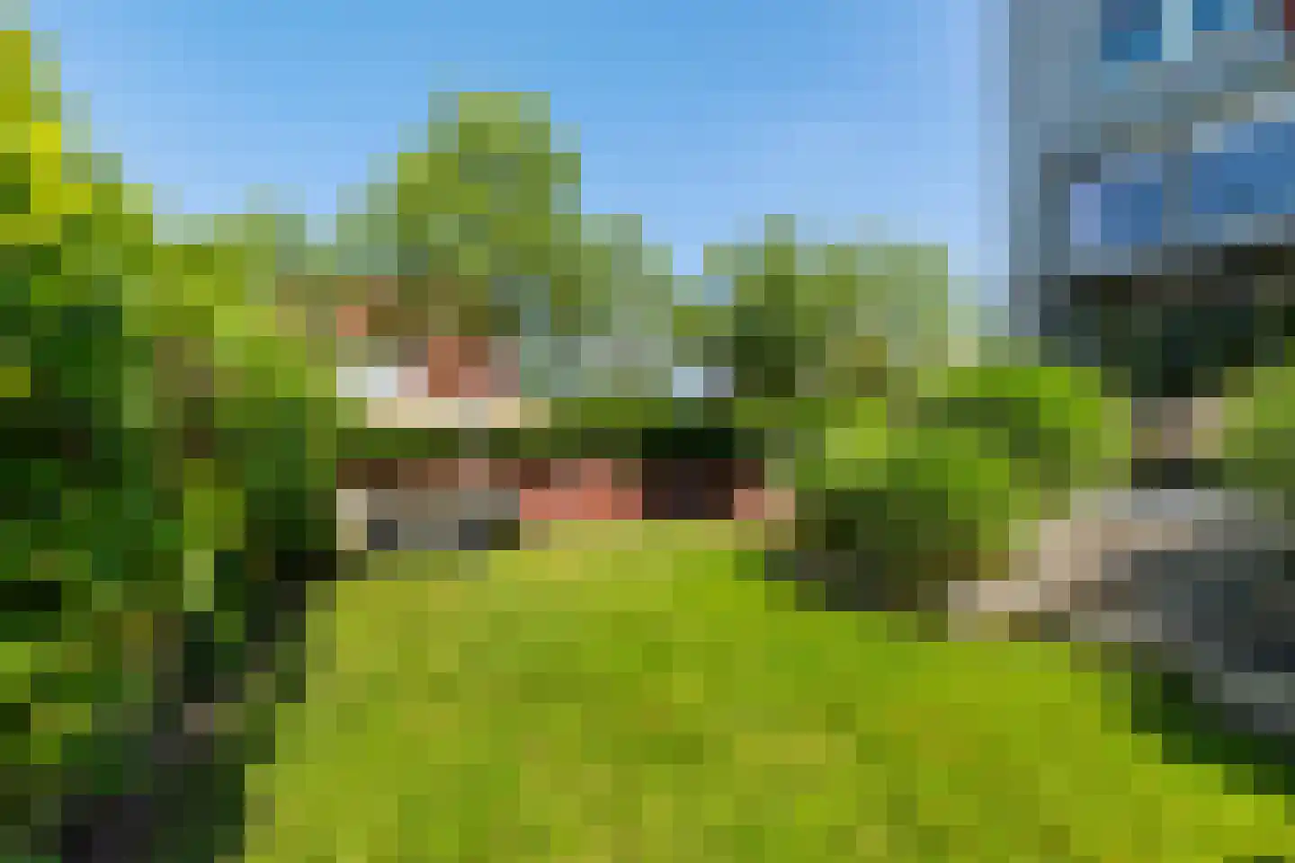 Jan Warmoltslaan 11 Eelderwolde thumbnail 52