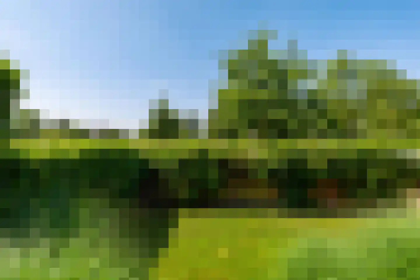 Jan Warmoltslaan 11 Eelderwolde thumbnail 55