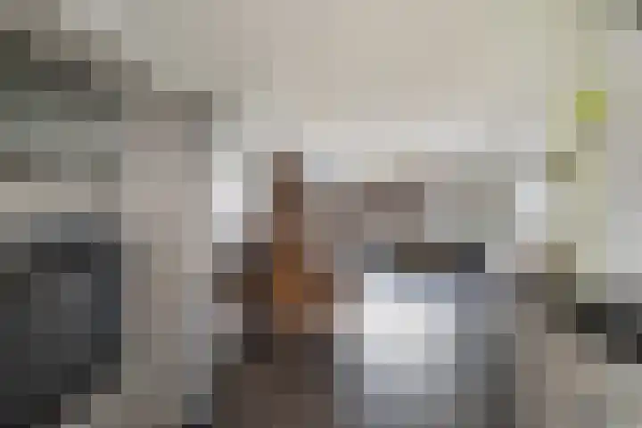 Jan Wernard van den Berghpad 10 Schiedam thumbnail 11