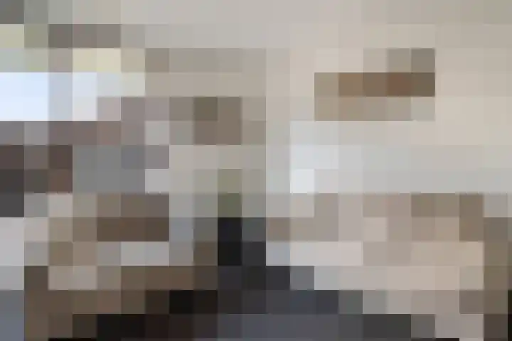 Jan Wernard van den Berghpad 10 Schiedam thumbnail 17