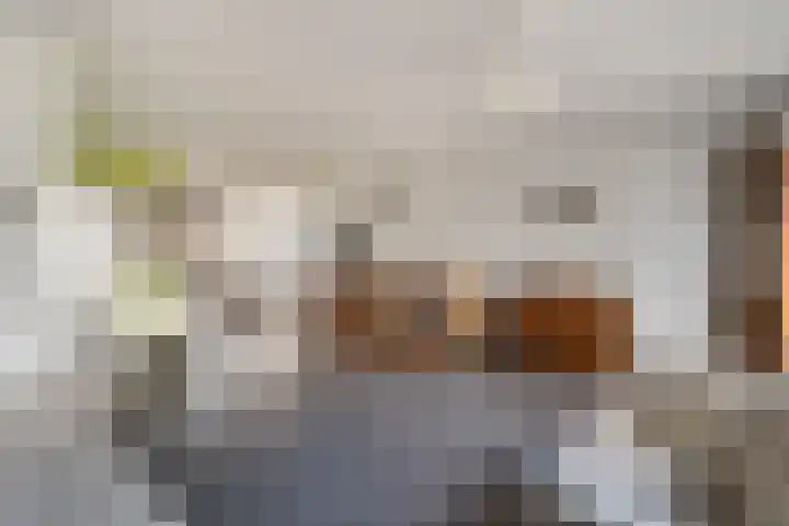 Jan Wernard van den Berghpad 10 Schiedam thumbnail 21