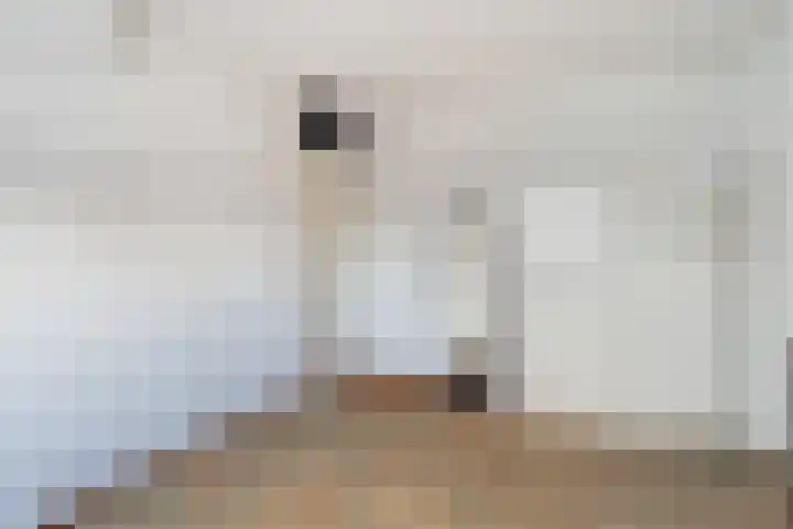 Jan Wernard van den Berghpad 10 Schiedam thumbnail 35