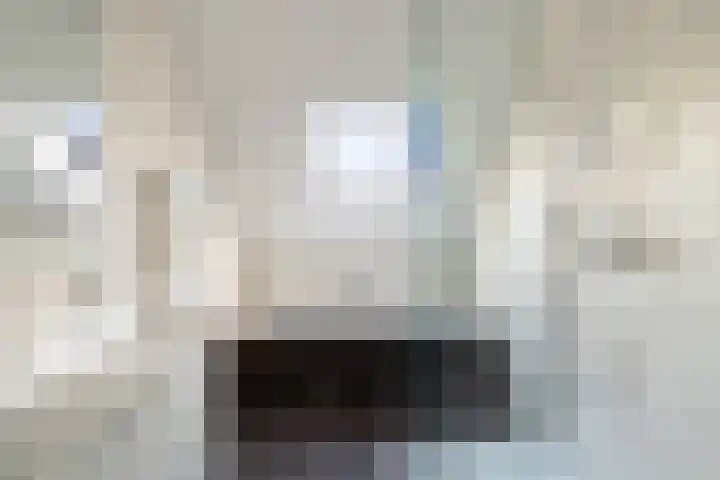 Jan Wernard van den Berghpad 10 Schiedam thumbnail 36