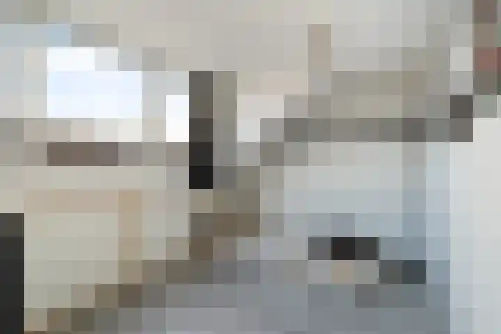 Jan Wernard van den Berghpad 10 Schiedam thumbnail 44