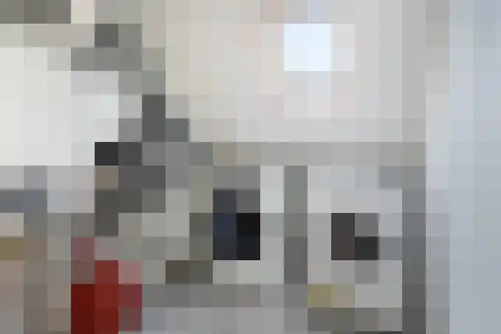 Jan Wernard van den Berghpad 10 Schiedam thumbnail 49