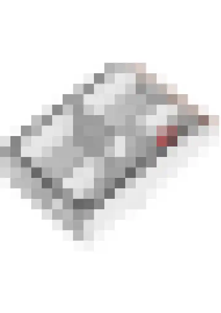 Jan Wernard van den Berghpad 10 Schiedam thumbnail 54