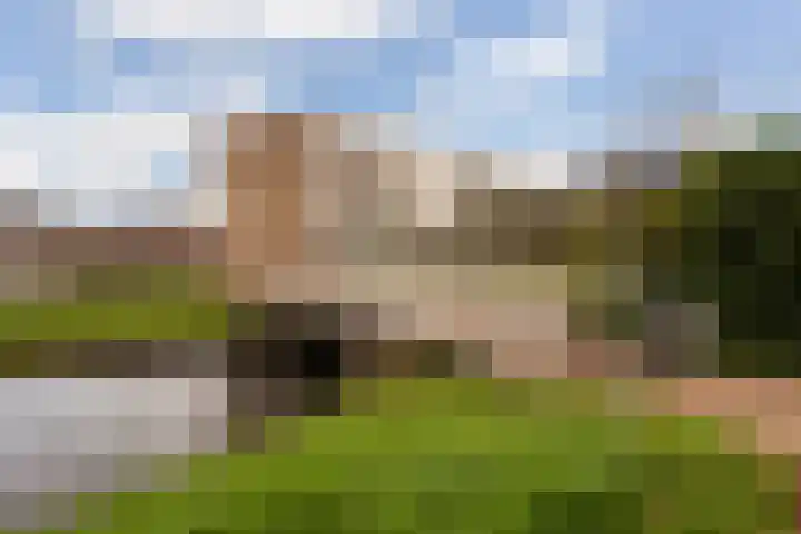 Jan Wernard van den Berghpad 10 Schiedam thumbnail 6