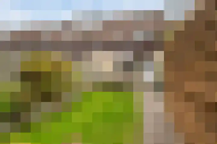 Jan Wernard van den Berghpad 14 Schiedam thumbnail 10