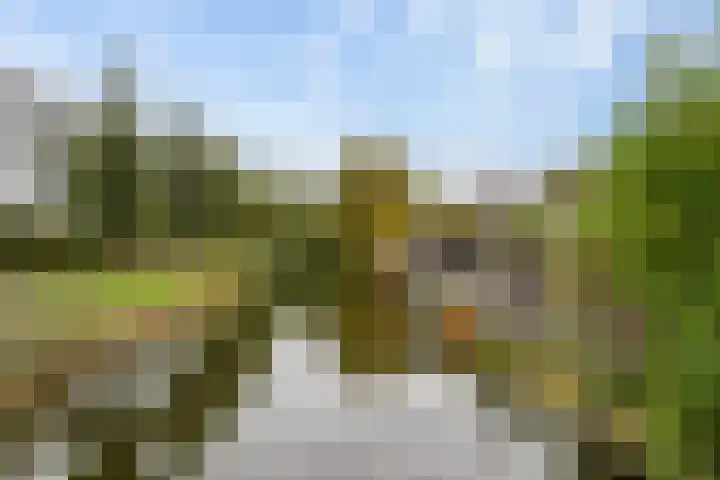 Jan Wernard van den Berghpad 14 Schiedam thumbnail 11