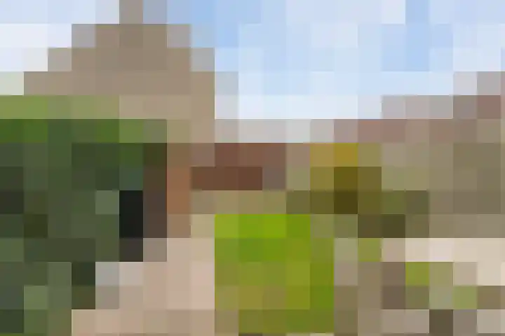 Jan Wernard van den Berghpad 14 Schiedam thumbnail 9