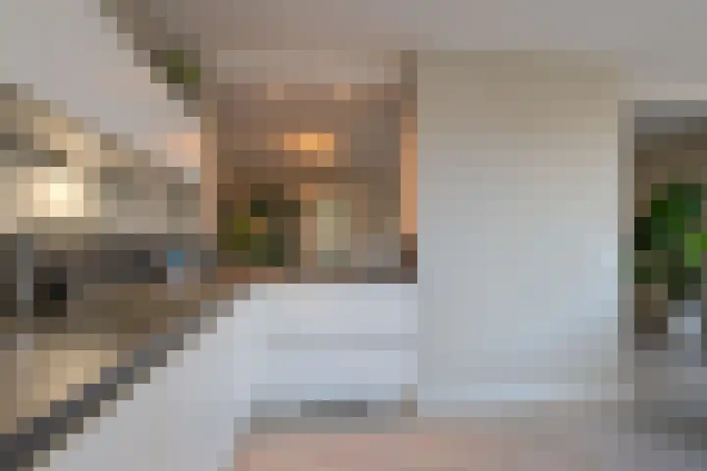 Jan Wiegerslaan 20 Almelo thumbnail 18