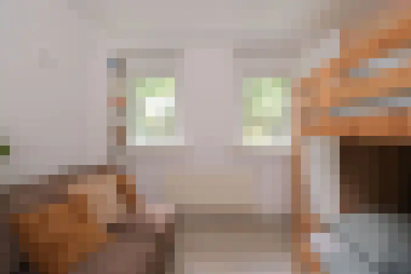 Jan Wiegerslaan 20 Almelo thumbnail 25
