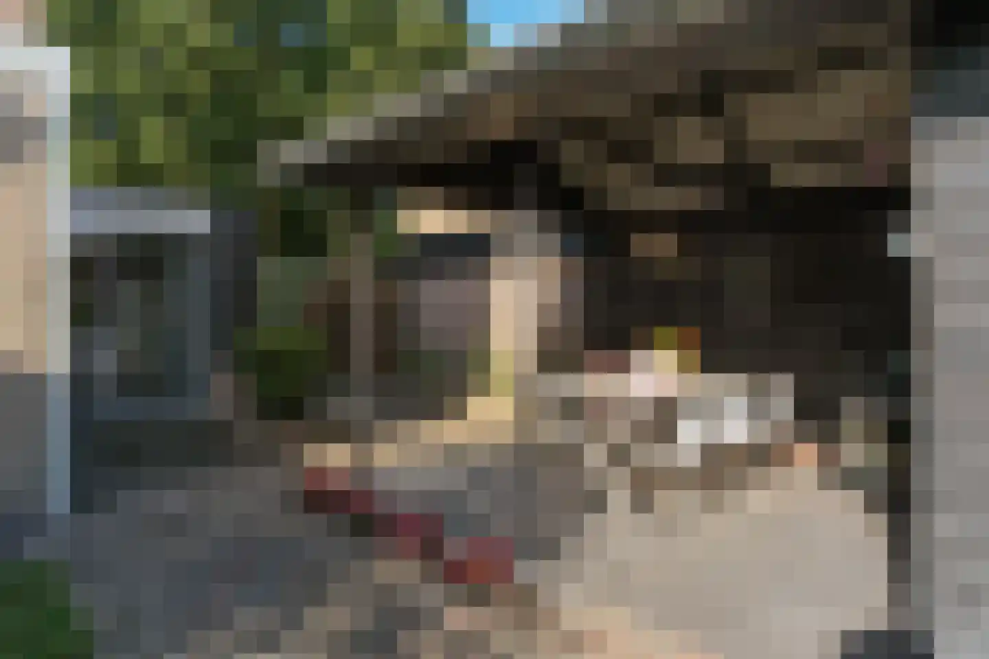 Jan Wiegerslaan 20 Almelo thumbnail 35