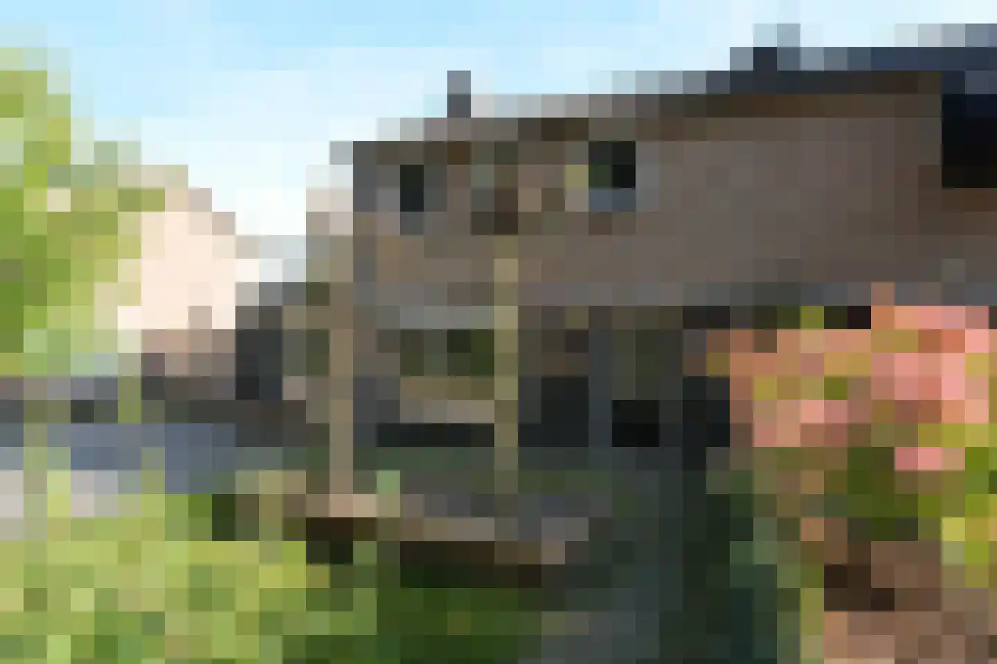 Jan Wiegerslaan 20 Almelo thumbnail 4