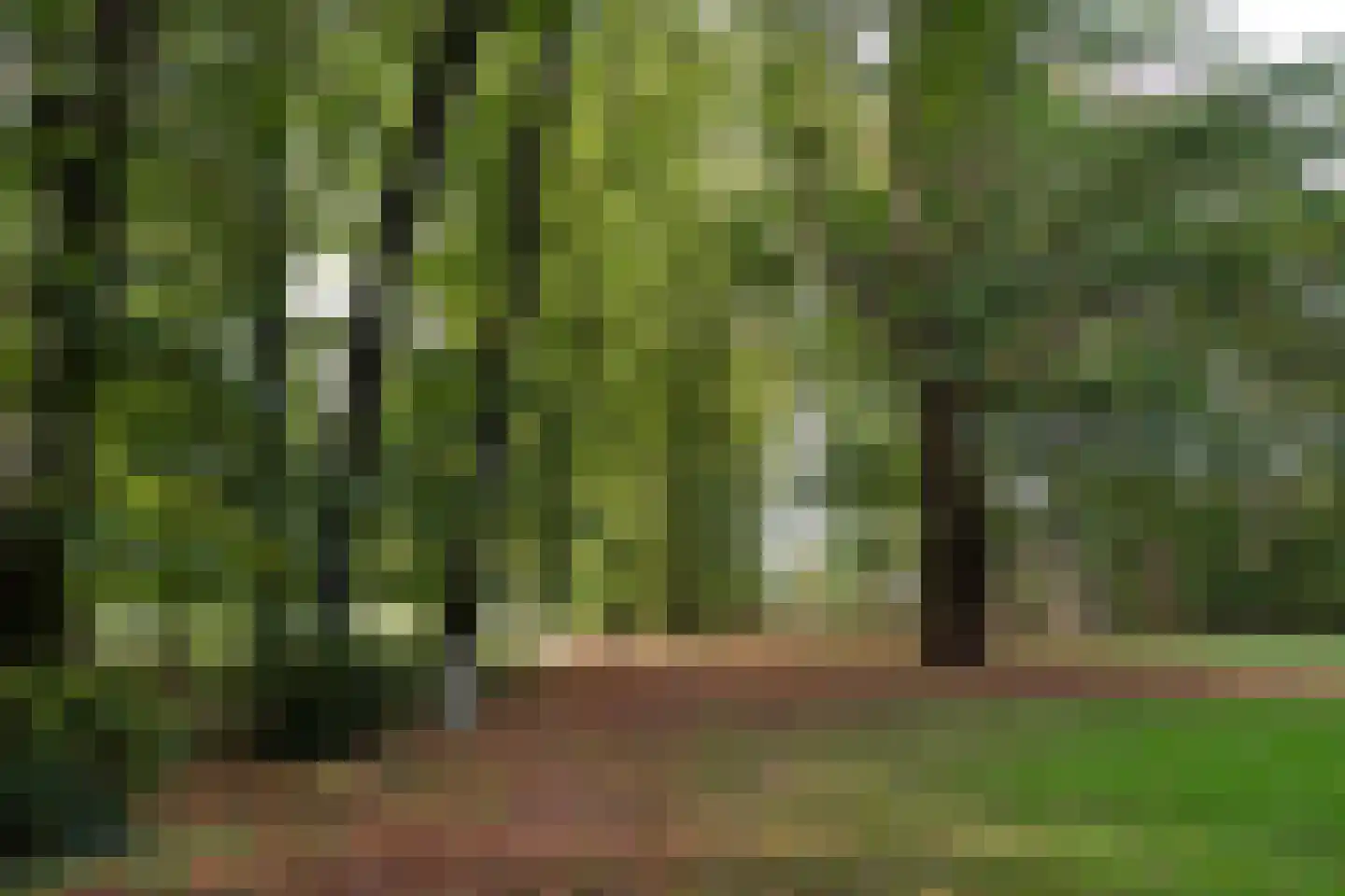 Jan Wiegerslaan 20 Almelo thumbnail 41