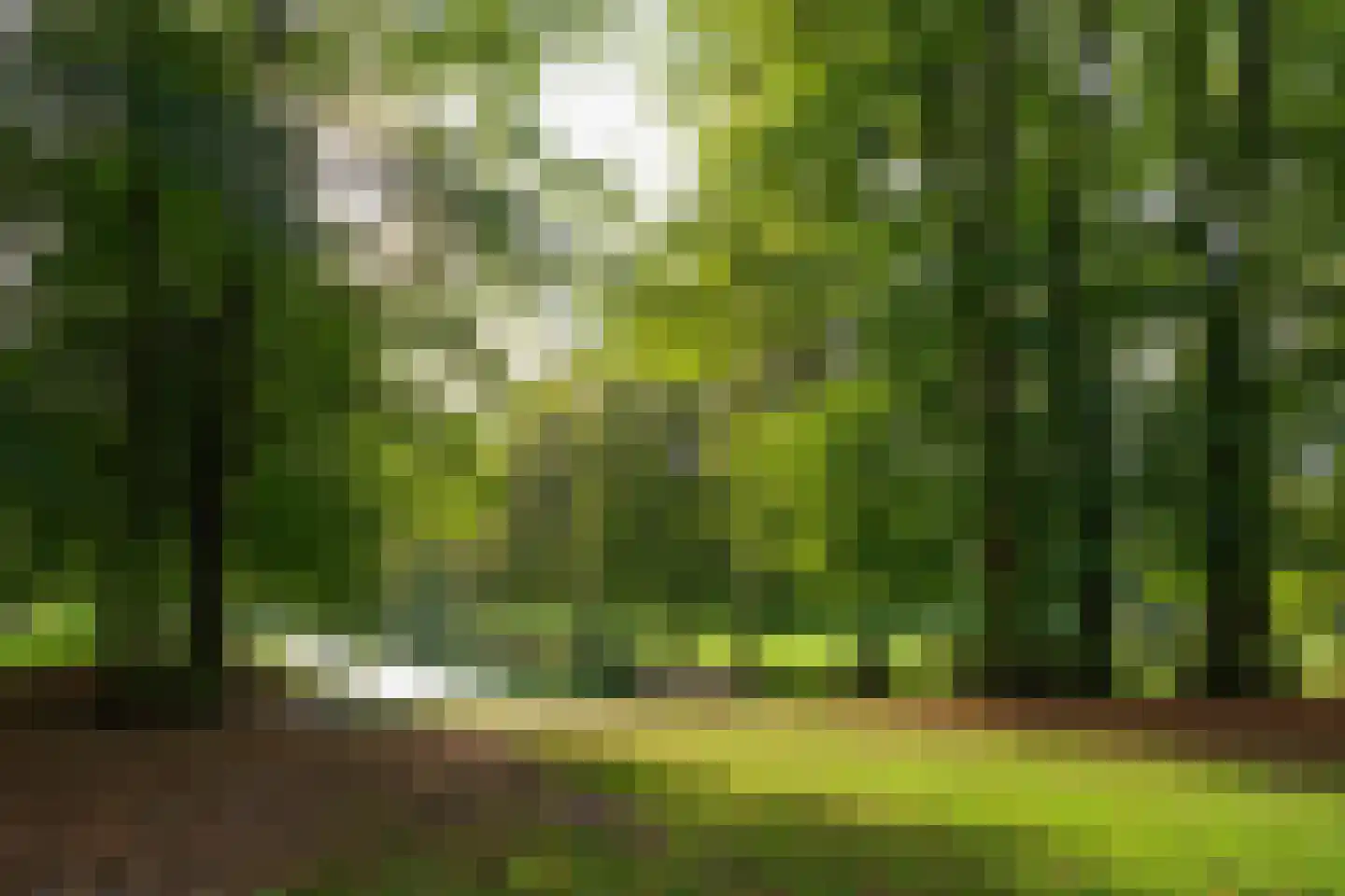 Jan Wiegerslaan 20 Almelo thumbnail 44