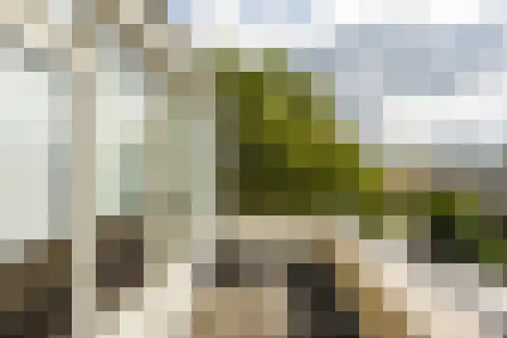 Jan Wiegersweg 2 Groningen thumbnail 18
