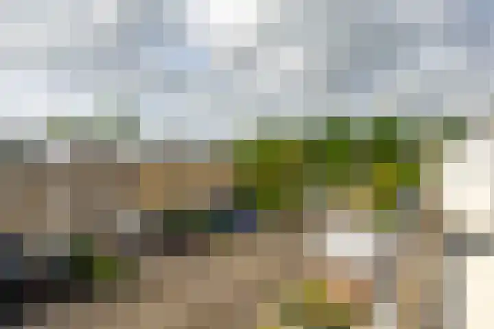 Jan Wiegersweg 2 Groningen thumbnail 19
