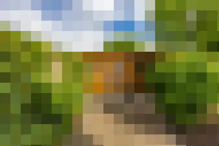 Jan Wiegersweg 2 Groningen thumbnail 21