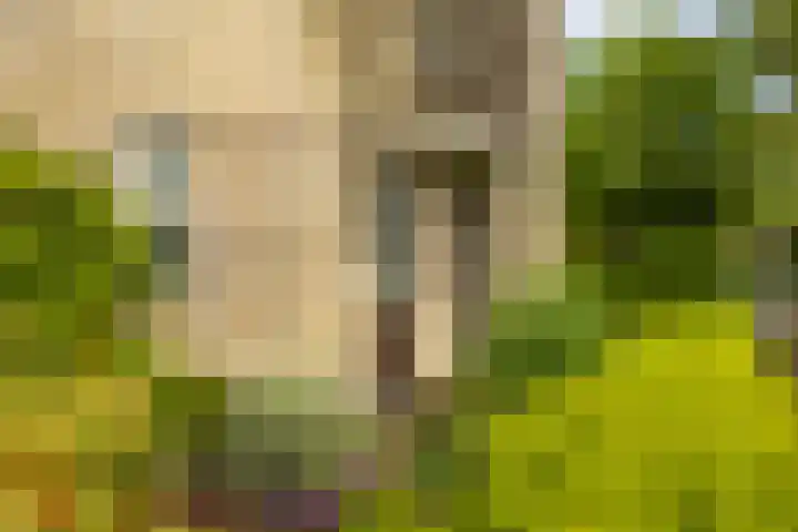 Jan Wiegersweg 2 Groningen thumbnail 26