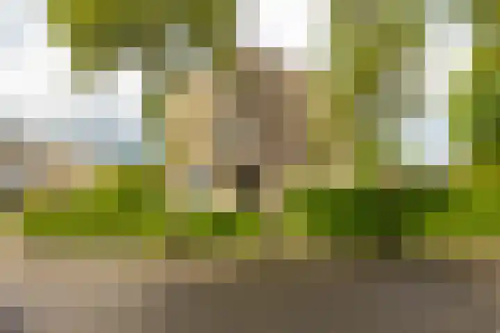 Jan Wiegersweg 2 Groningen thumbnail 27