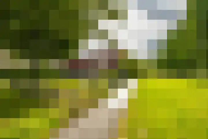 Jan Wiegersweg 2 Groningen thumbnail 28