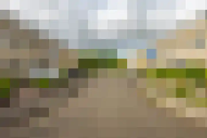 Jan Wiegersweg 2 Groningen thumbnail 29