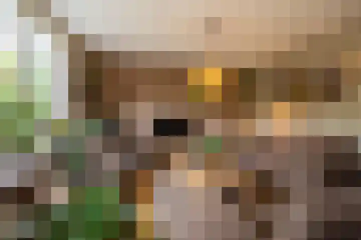 Jan Wiegersweg 2 Groningen thumbnail 4