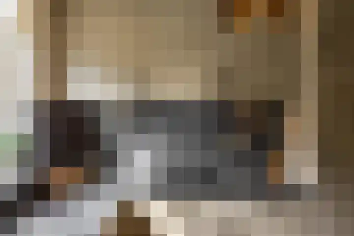 Jan Wiegersweg 2 Groningen thumbnail 8