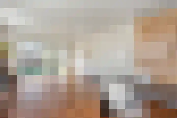 Jan Wierengaweg 8 Ruinen thumbnail 13