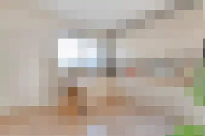 Jan Wierengaweg 8 Ruinen thumbnail 16