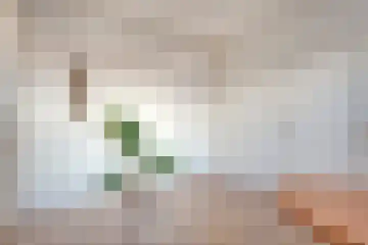 Jan Wierengaweg 8 Ruinen thumbnail 18