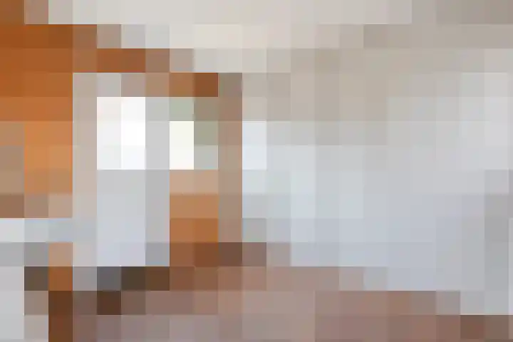 Jan Wierengaweg 8 Ruinen thumbnail 20