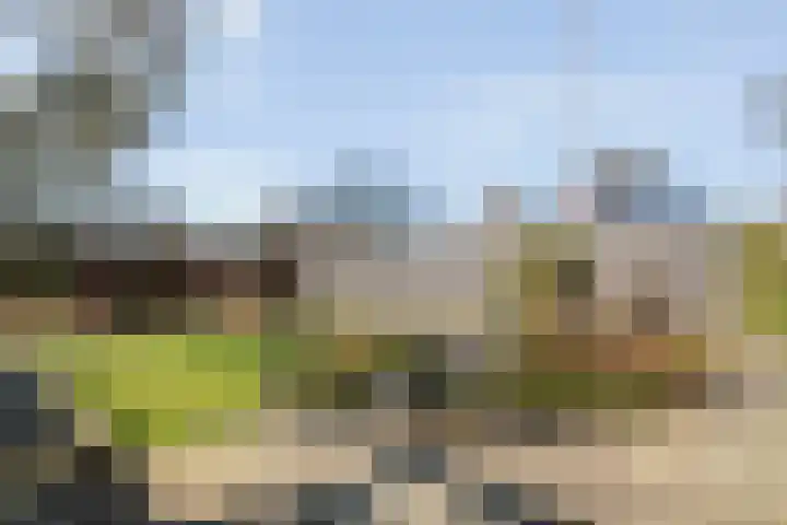 Jan Wierengaweg 8 Ruinen thumbnail 36