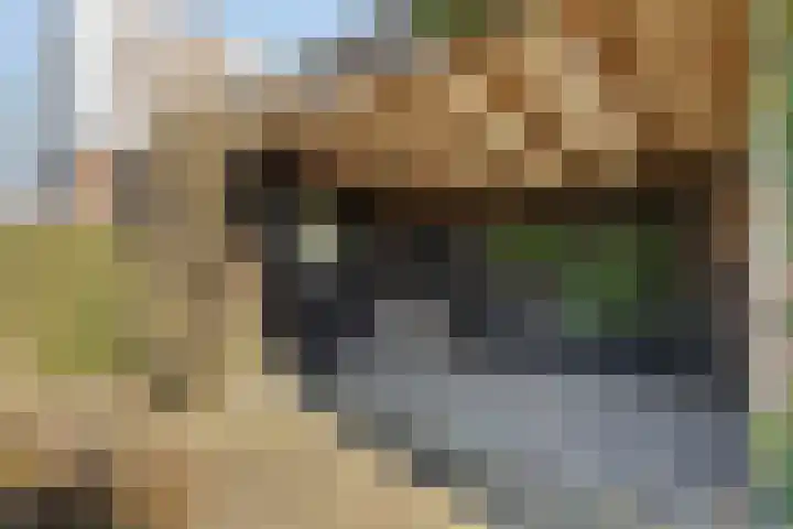 Jan Wierengaweg 8 Ruinen thumbnail 37