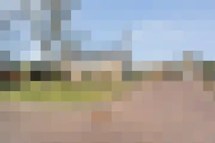 Jan Wierengaweg 8 Ruinen thumbnail 4