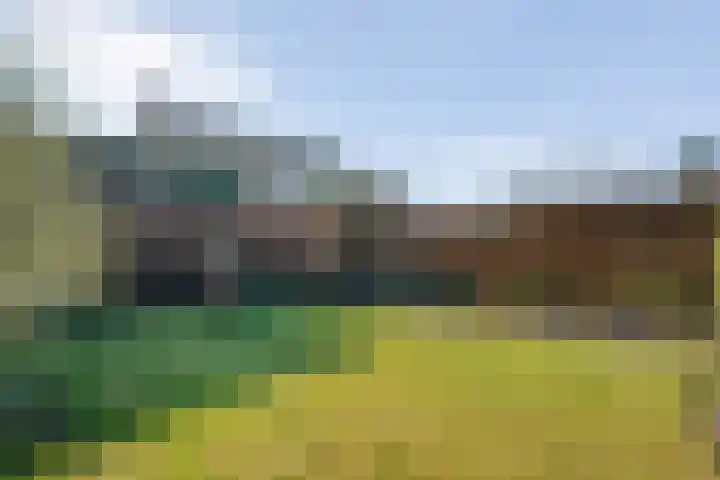 Jan Wierengaweg 8 Ruinen thumbnail 41