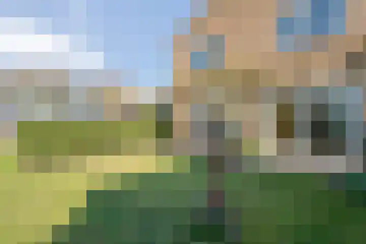 Jan Wierengaweg 8 Ruinen thumbnail 42