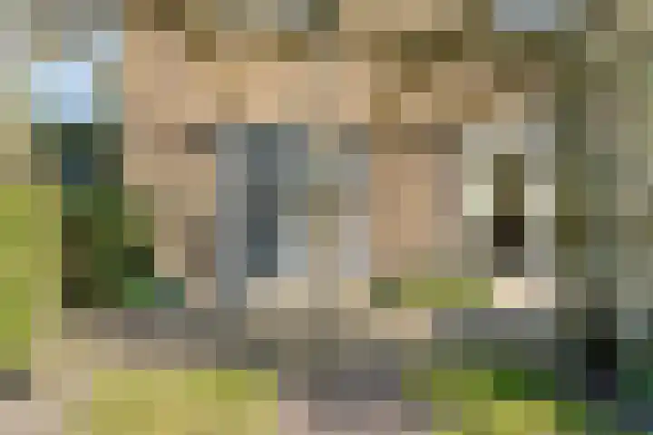 Jan Wierengaweg 8 Ruinen thumbnail 43