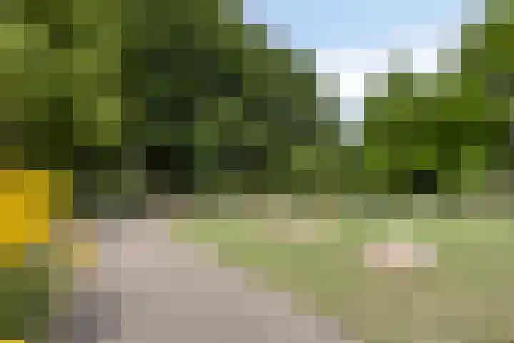 Jan Wildschutstraat 9 's-Hertogenbosch thumbnail 27