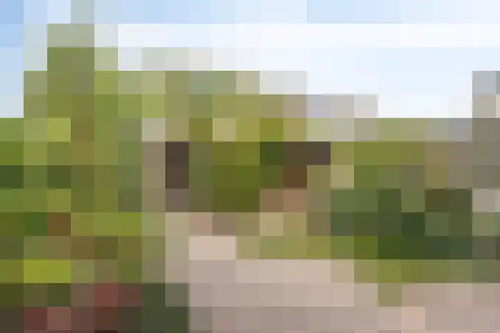 Jan Wildschutstraat 9 's-Hertogenbosch thumbnail 9