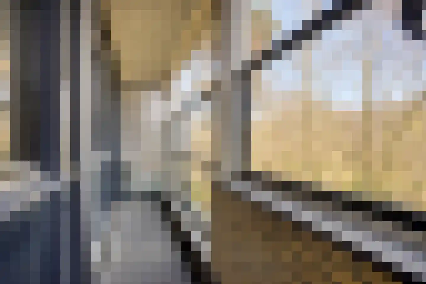Jan Willem Frisohof 37 Den Haag thumbnail 31