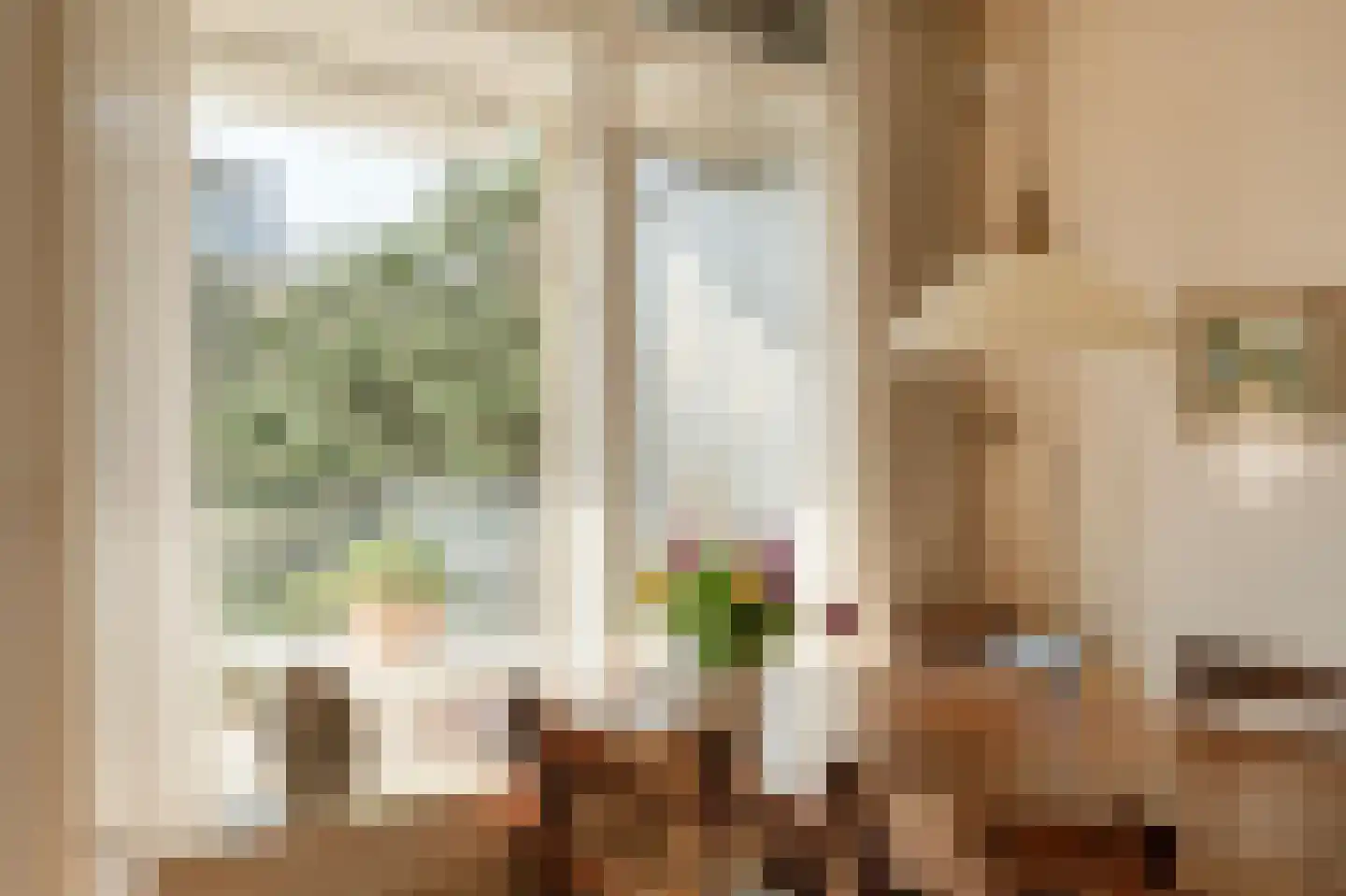 Jan Willem Frisohof 39 Den Haag thumbnail 16