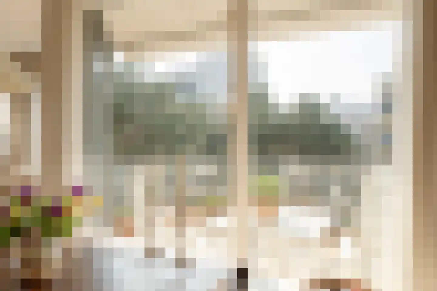 Jan Willem Frisohof 39 Den Haag thumbnail 17
