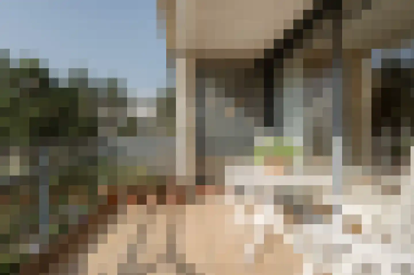 Jan Willem Frisohof 39 Den Haag thumbnail 19