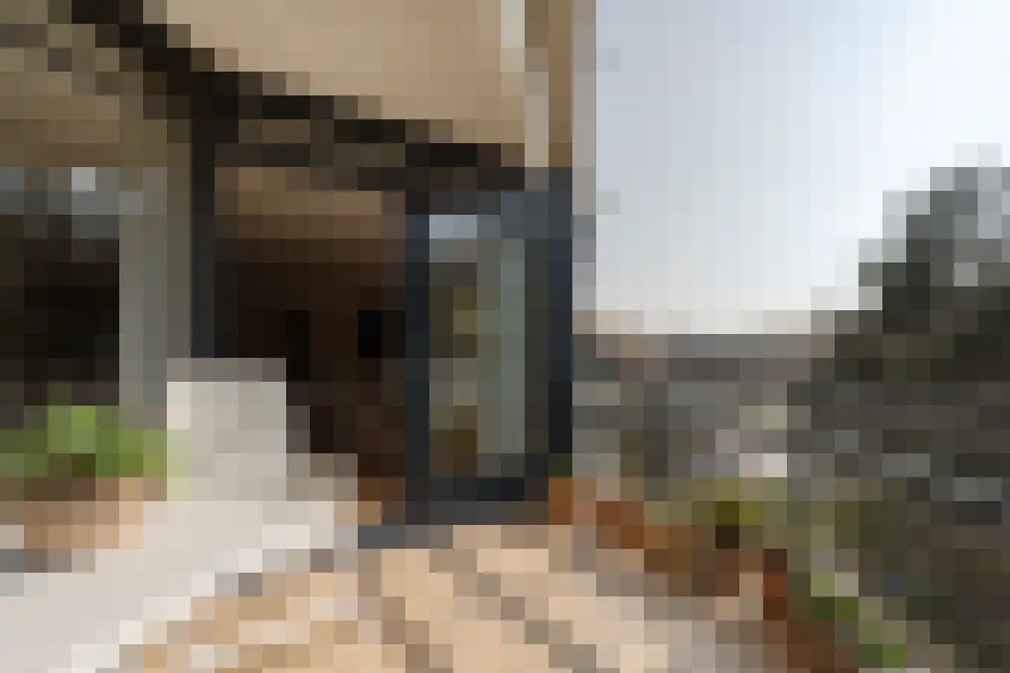 Jan Willem Frisohof 39 Den Haag thumbnail 20